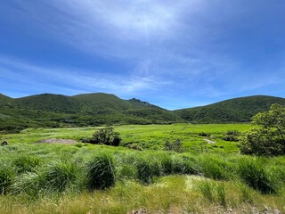 Obraz premium 坊ガツル