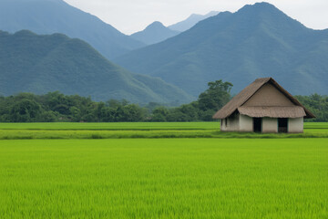 Obraz premium A small traditional hut sits in a vibrant green rice field surrounded by lush vegetation, with mountains