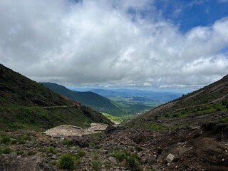 すがもり越