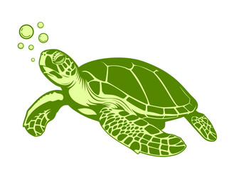 turtle clipart on a white background, tortoise, cute, clipart,animal,illustration.