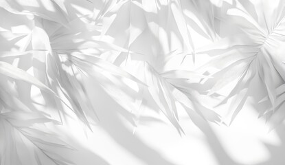 Obraz premium Elegant and Subtle White Background with Tropical Leaves Casting Soft Shadows for a Serene and Minimalistic Aesthetic in Modern Design Projects