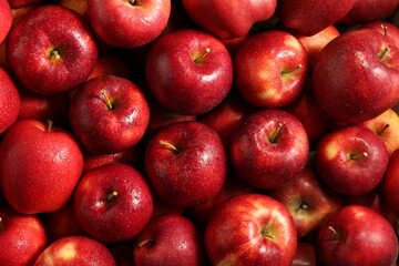 Fresh ripe red apples as background, top view