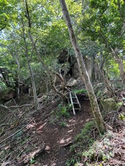 祖母山登山道