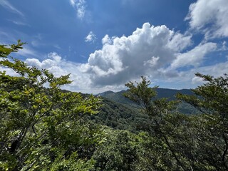 祖母山登山道