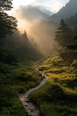 Obraz premium Misty Mountain Path at Sunrise