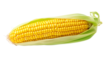 a corn on the cob