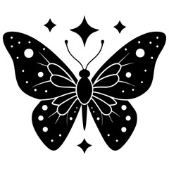black and white butterfly