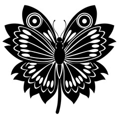 Fototapeta premium black and white butterfly