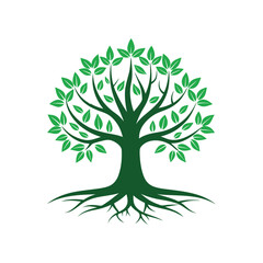 tree with roots vector