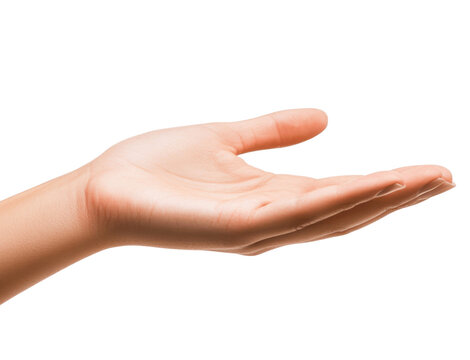An open hand extended outward, palm facing the camera, isolated on a white background for a welcoming gesture