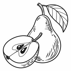 illustration of pear