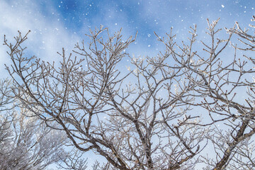 Winter Scenery of Deogyusan Mountain in Muju-gun, North Jeolla Province, South Korea