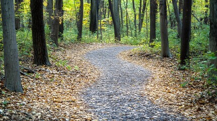Obraz premium Winding Forest Path Autumn Leaves Scenic Trail
