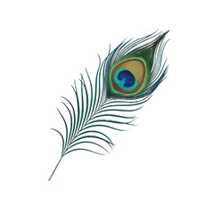A 3D render of a minimalist cartoon style peacock feather, isolated on a transparent background. The feather has a blue base with green and yellow patterns. 