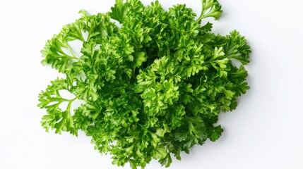 Naklejka premium A detailed shot of fresh green parsley leaves with their curly edges and vibrant color, isolated white background, minimalist art style