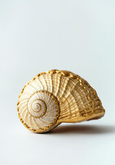 Partially gold-plated seashell on a minimalist white background, evoking luxury, elegance, and unique marine-inspired decor