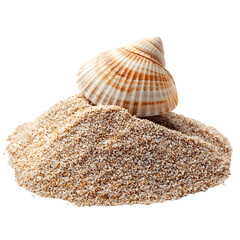 sea shells on the sand