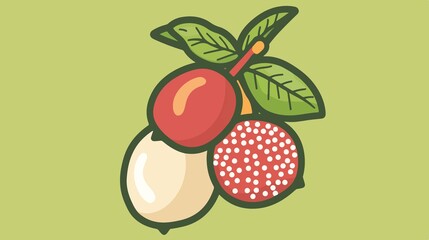 Fresh Lychee Fruit with Seed or Pit - Flat Color Vector Illustration