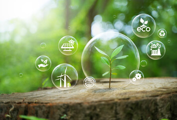 CO2 reduction symbol, climate change limiting global warming, sustainable development, green...