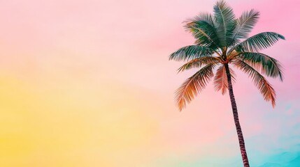Obraz premium Palm tree abstract background idea. A serene palm tree silhouette against a vibrant pastel sky at sunset.