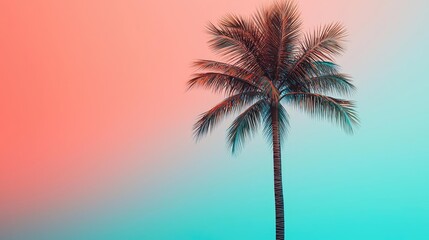 Obraz premium Palm tree abstract background idea. A beautiful palm tree against a vibrant gradient background of pink and blue hues.