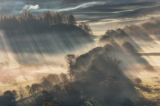 Misty landscaoe