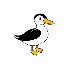 duck