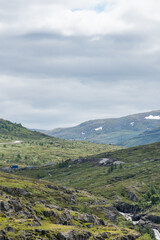 Naklejka premium Mountain landscape in Norway with a mountain peak with green trees growing on it on a sunny summer day under a blue sky.