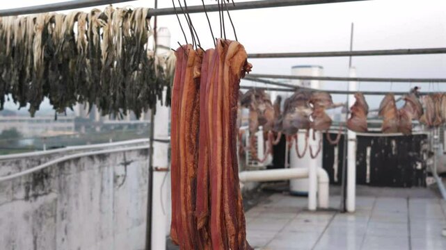 Traditional food of marinated fatty fish and dried fish in Dongguan city, Guangdong, Asia, China
