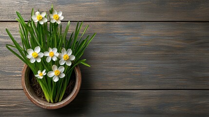 Fototapeta premium Fresh White Flowers in Pot on Rustic Wooden Table Background for Nature Lovers