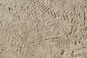 A close view of the dirt ground surface.