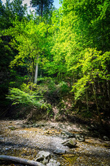 Hiking Josephstal Waterfalls Bavaria Germany