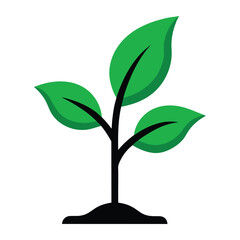 tree with leaves isolated