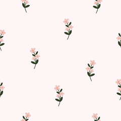 Seamless pattern with white wildflower. Vector botanical floral pastel background. Delicate floral and herb illustration.