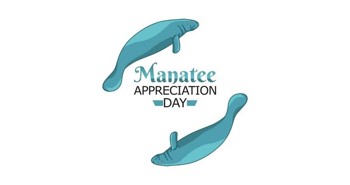 manatee appreciation day motion video, ideal for manatee appreciation day celebration