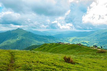 Bieszczady g&oacute;ra g&oacute;ry połoniny las drzewa dolina niebo chmury wiosna lato