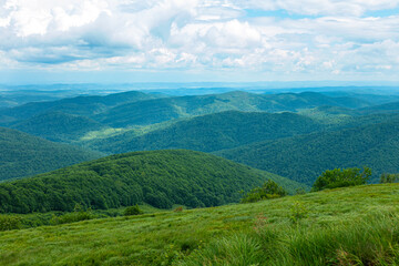 Bieszczady góra góry połoniny las drzewa dolina niebo chmury wiosna lato © Dariusz