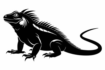 silhouette of a iguana.  Iguana silhouette vector illustration Iguana silhouette vector Iguana silhouette drawing. American  iguana silhouette icon vector illustration
