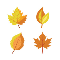  Leaf set colour vector illustration