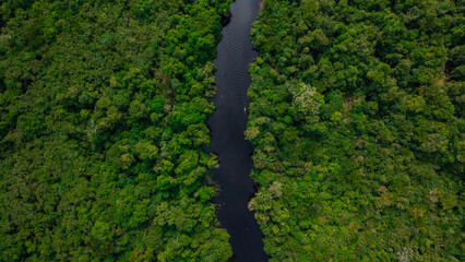 Fototapeta premium AERIAL PHOTOS OF THE NANAY RIVER AND BOATS NAVIGATING IN ITS WATERS, IN THE PERUVIAN AMAZON JUNGLE, BLACK WATER IGAPO WITH COMMUNITIES OF PEOPLE SURROUNDING THE NANAY.