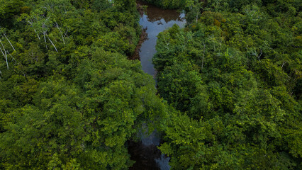 AERIAL PHOTOS OF THE NANAY RIVER AND BOATS NAVIGATING IN ITS WATERS, IN THE PERUVIAN AMAZON JUNGLE, BLACK WATER IGAPO WITH COMMUNITIES OF PEOPLE SURROUNDING THE NANAY.