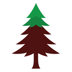 pine tree vector illustration
