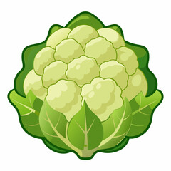 cabbage isolated on white background