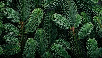 fern leaf background