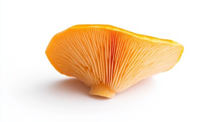 Vibrant Yellow Mushroom with Unique Gills Displaying Natural Texture and Color on a Clean Background for Culinary and Nature Themes