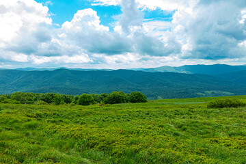 Bieszczady g&oacute;ra g&oacute;ry połoniny las drzewa dolina niebo chmury wiosna lato