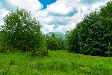 Bieszczady góra góry połoniny las drzewa dolina niebo chmury wiosna lato