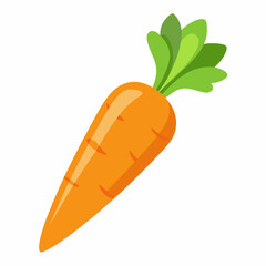 carrot isolated on white