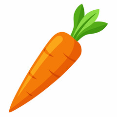 carrot isolated on white