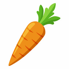 carrot isolated on white